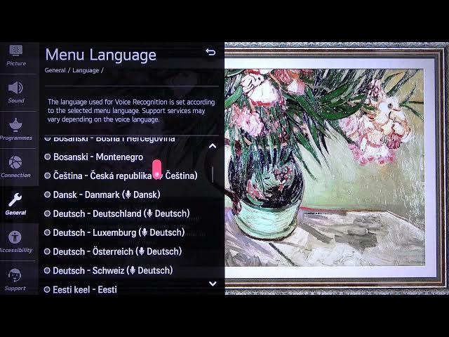 Video thumbnail for LG NanoCell TV - How to Change Language? LG 4K LED Smart TV (49NANO867NA)