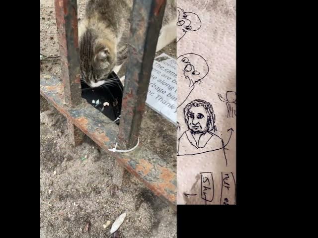 Video thumbnail for Numerology Check on Titanic Day: The Green Eyed CAT didn’t sink, he trusts Little Red Riding Grandma