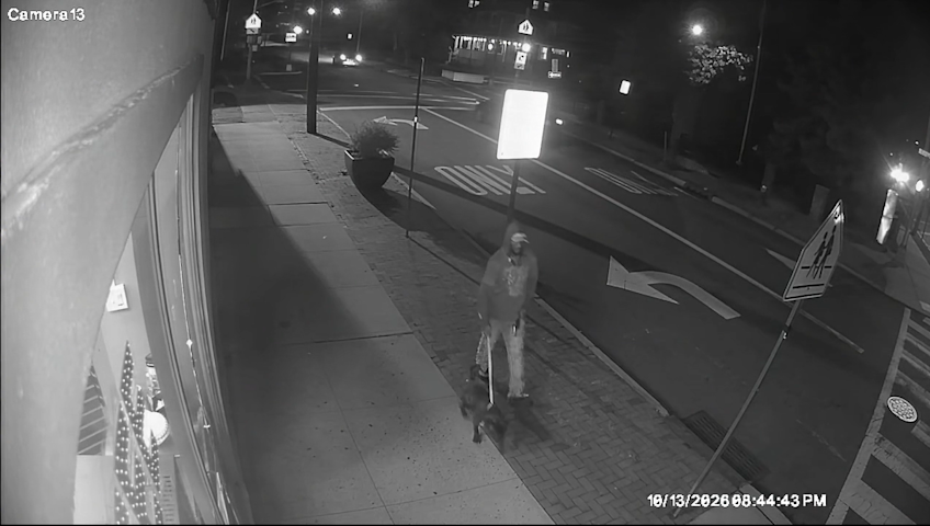 Video thumbnail for Police search for man who left dog tied to garbage can