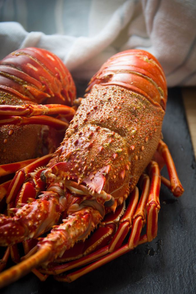 Video thumbnail for Italian Aragosta –Lobster Dish