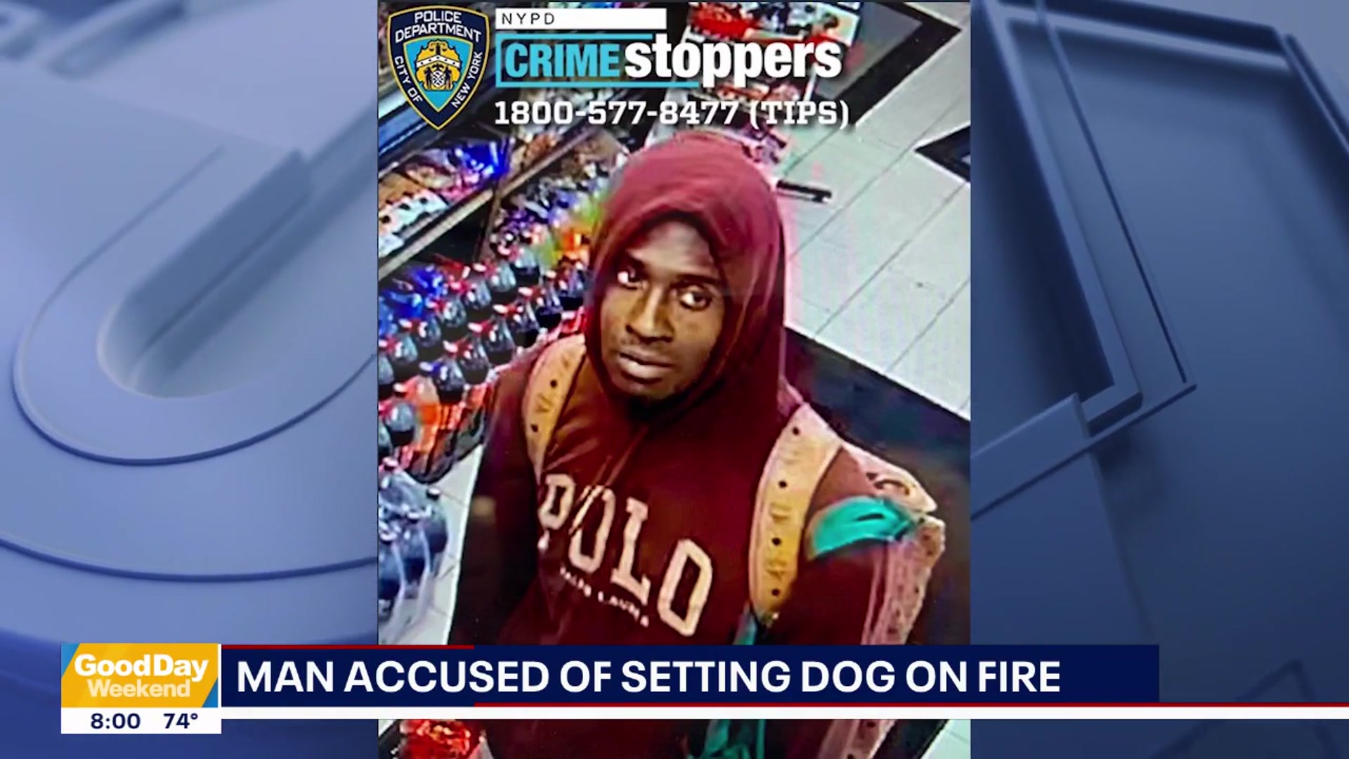 'Video thumbnail for Man accused of setting dog on fire, Summer Streets kicks off | Good Day Weekend'