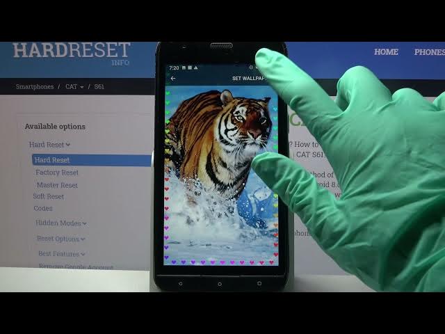 Video thumbnail for How Apply Lighting Edges in CAT S61?