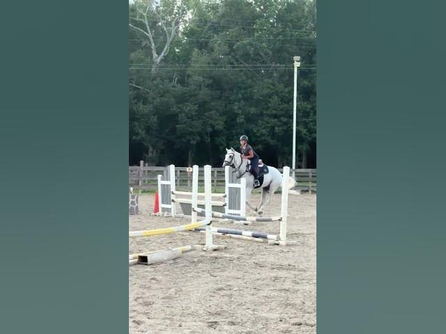 Video thumbnail for GIVE ME SOME TIPS GUYS (NICE OR RUDE!) HELP ME GET BETTER AS AN EQUESTRAINNNN