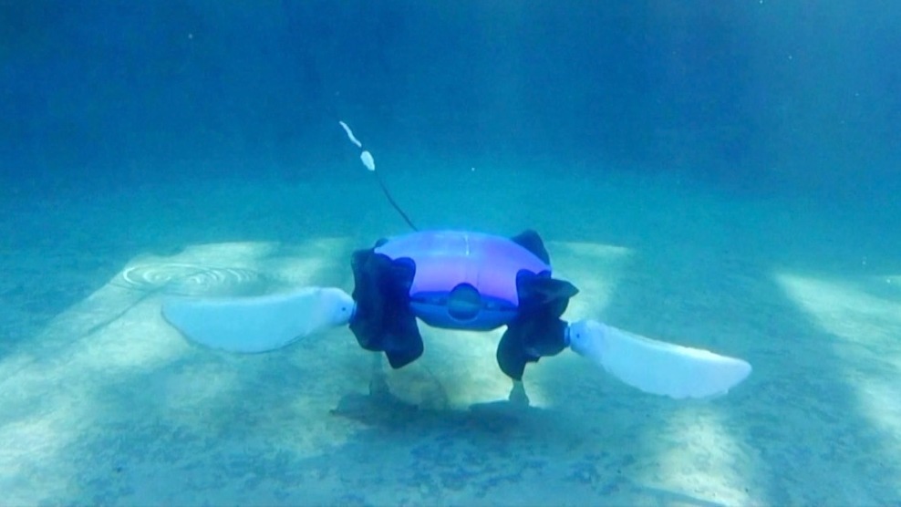 Video thumbnail for Robot that walks on land and swims hints at a new era of shape-shifting tech