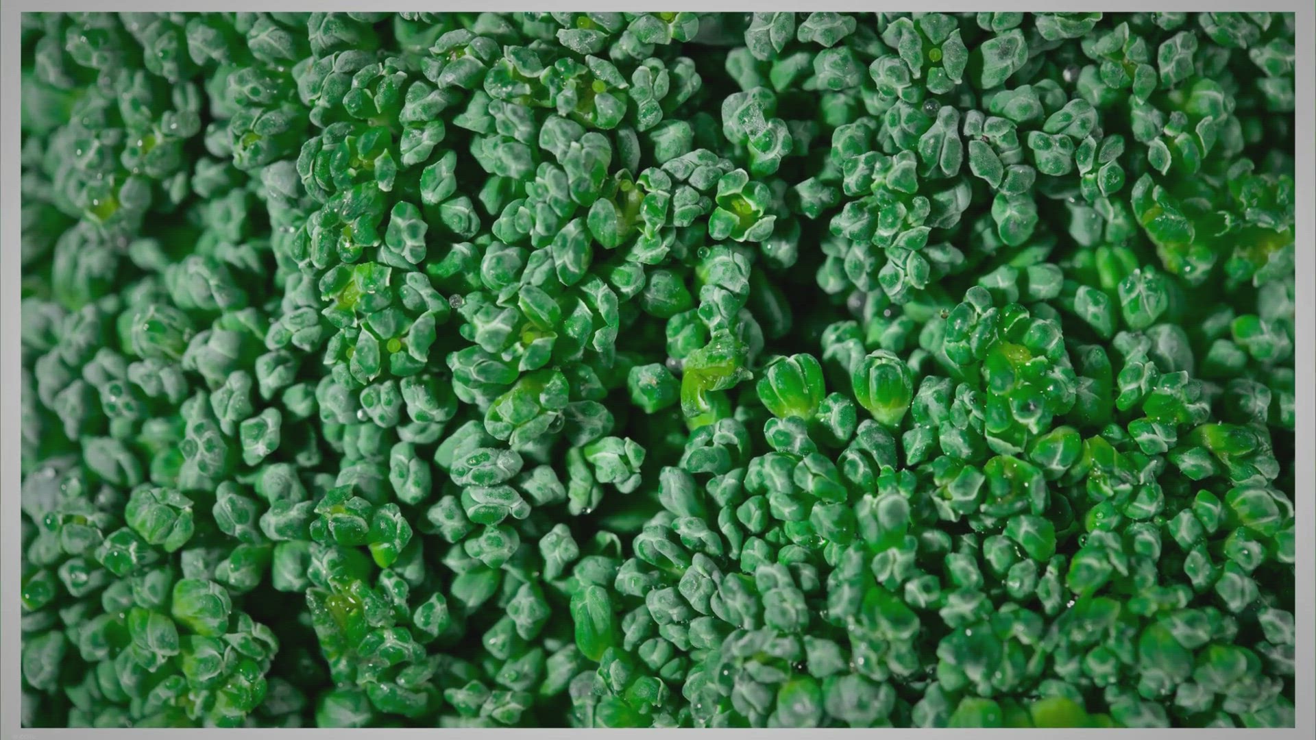 Video thumbnail for 🎖️ Cómo Limpiar el Brócoli 🥦 Correctamente: Consejos que no sabias.