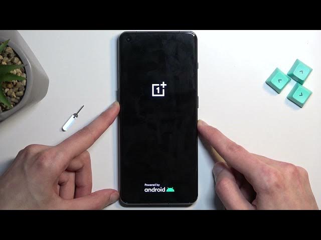 Video thumbnail for How to Open Recovery Mode on OnePlus 11