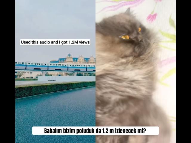 Video thumbnail for Akıma pofuduk bir güncelleme geldi 🐾 Sesi gerçekten işe yarıyor mu test ettik 🥰🐈⬛😻