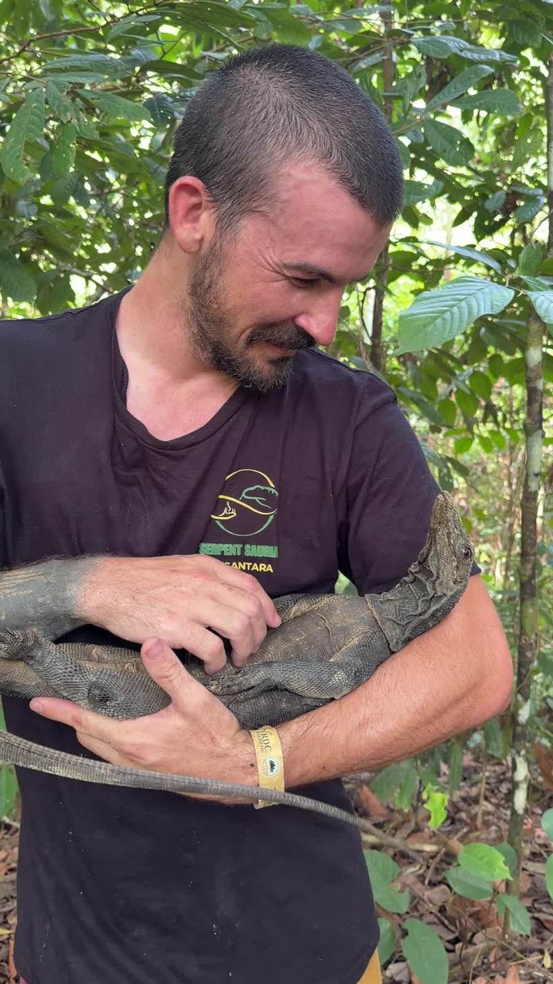 Video thumbnail for Rough Necked Monitor Enjoying Gentle Belly Scratches