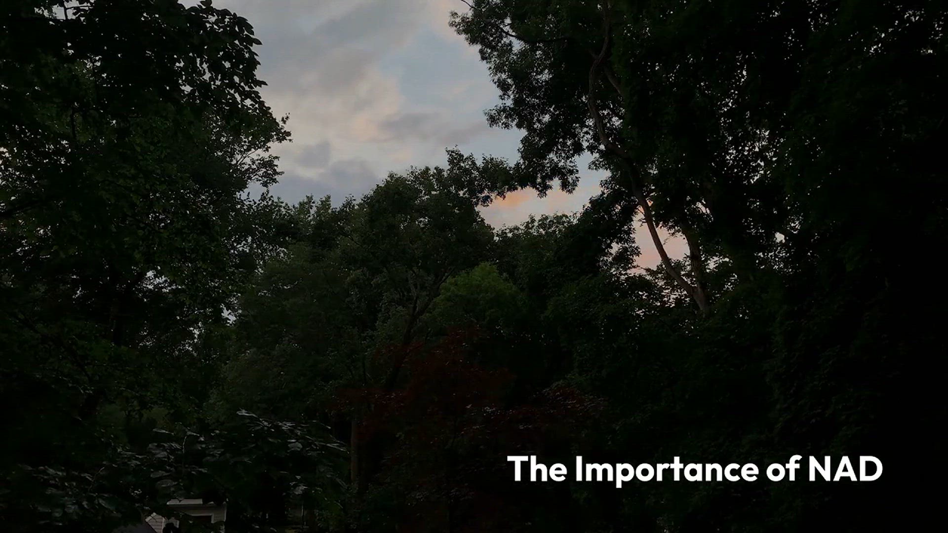 Video thumbnail for Boosting_NAD_for_Longevity