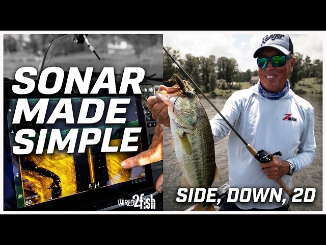 Video thumbnail for Identifying Fish on Sonar Made Simple | Side, Down, and 2D