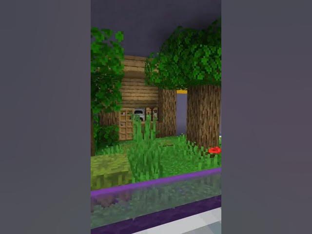 Video thumbnail for Minecraft speed run world record #herobrine #minecraft #minecraftanimation #minecraftmemes #memes