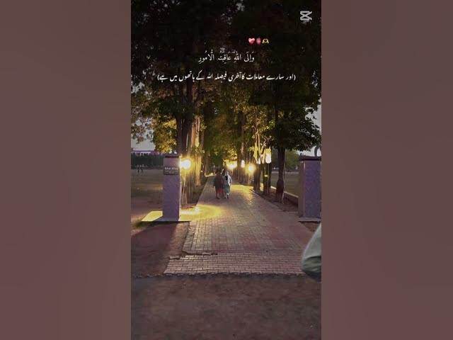 Video thumbnail for 💯🫀🥰