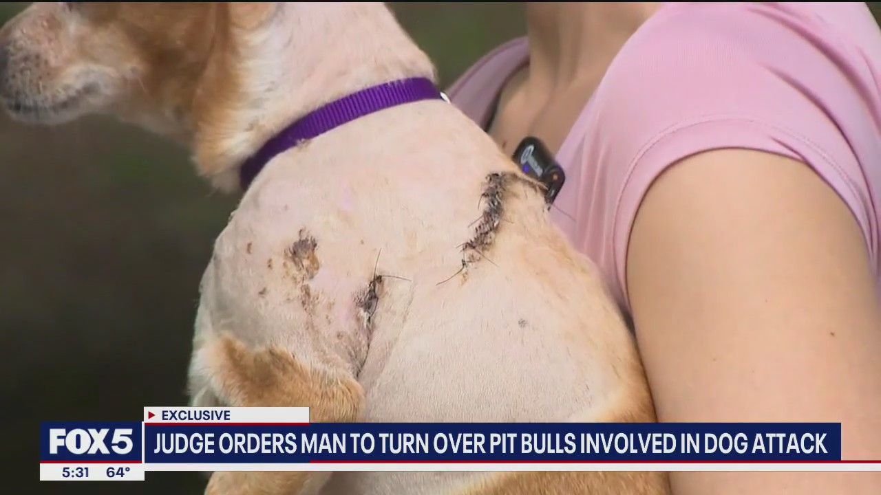 Video thumbnail for Judge orders owner to turn over pit bulls after UWS attack