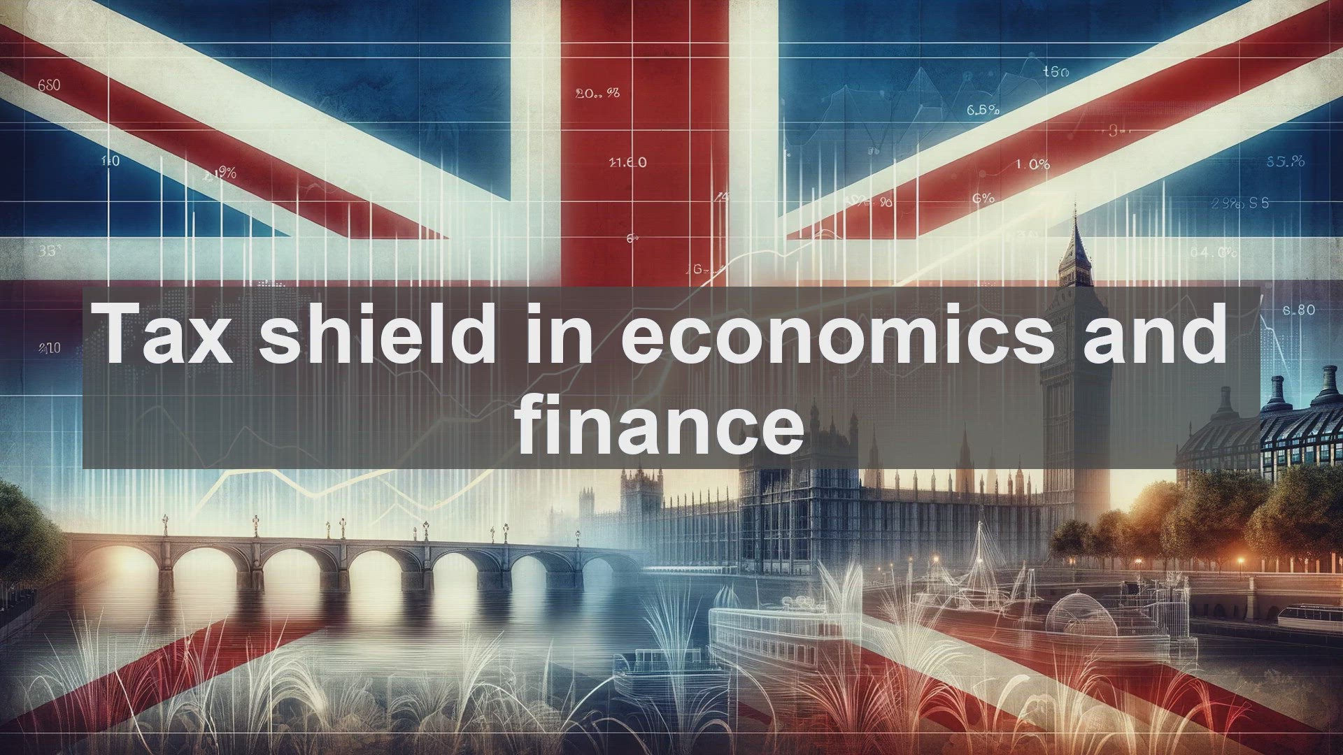 'Video thumbnail for Tax shield in economics and finance'