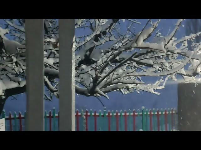 Video thumbnail for Snowfall at Evening#astorevalley