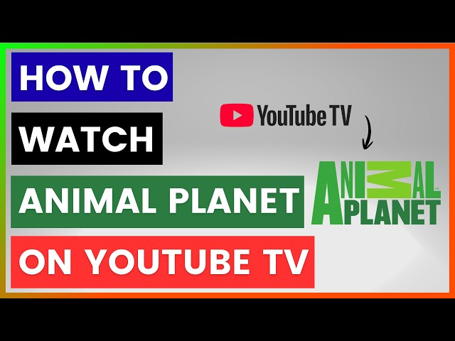 Video thumbnail for How To Watch Animal Planet On YouTube TV? [in 2026]