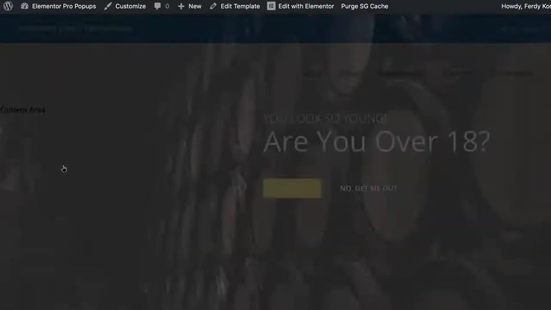 'Video thumbnail for How to make a popup in Elementor'