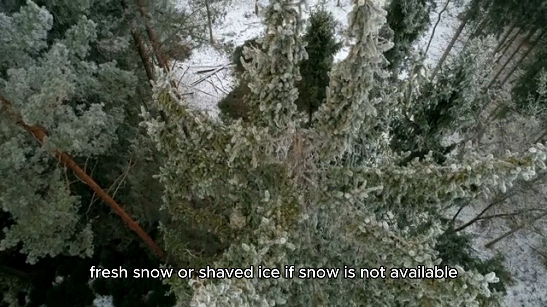 Video thumbnail for Snow cream recipe