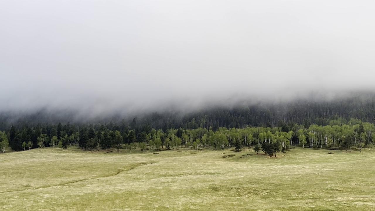 Video thumbnail for US: "Waterdogs" rising from the mountainside after heavy rain in Evergreen, Colorado.