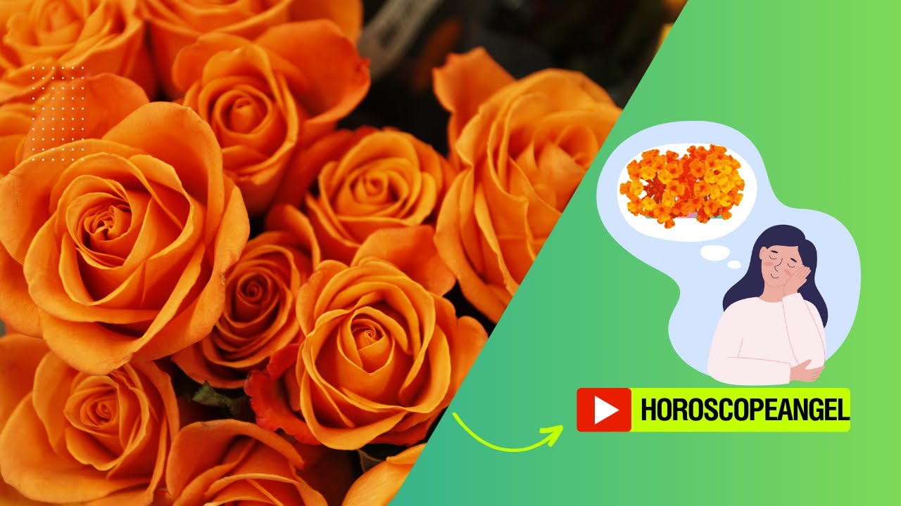 'Video thumbnail for Soñar con flores anaranjadas: video blog'