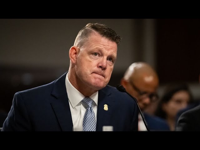 Video thumbnail for Secret Service Director Makes Shocking Admission On Live TV - Trump Attack Blockbuster