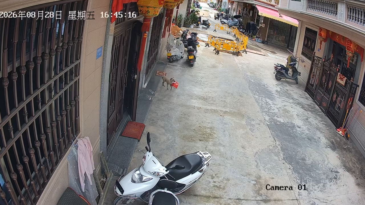 Video thumbnail for Dog Steals Food Delivery from Doorstep in Guangdong
