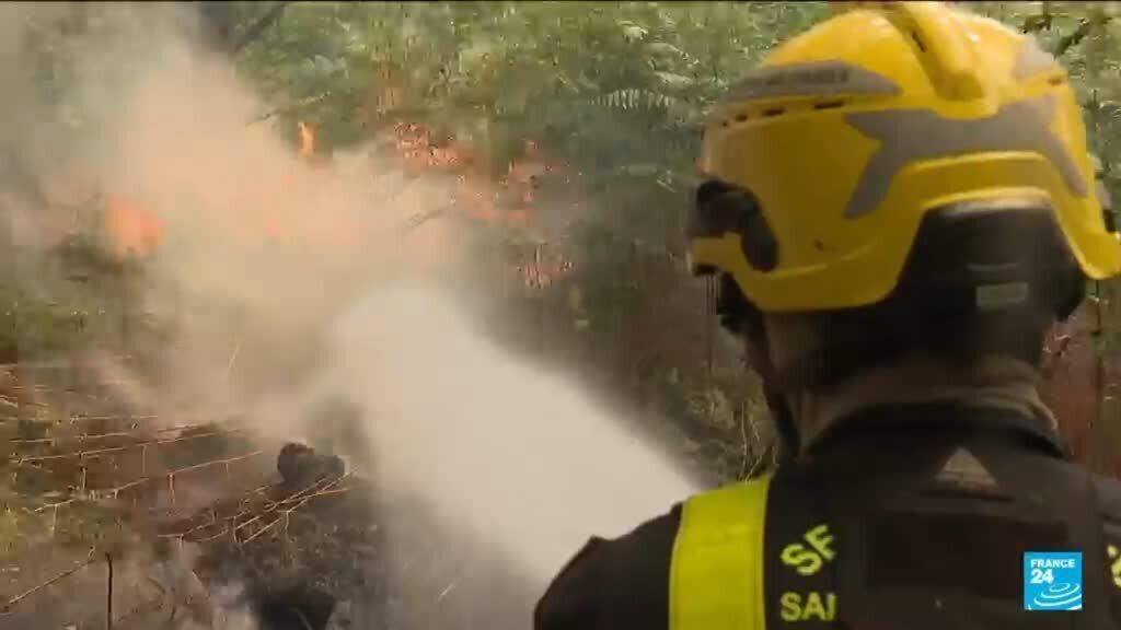 Video thumbnail for Firefighters battle 'contained' Fontainebleau forest fire near Paris amid arson probe