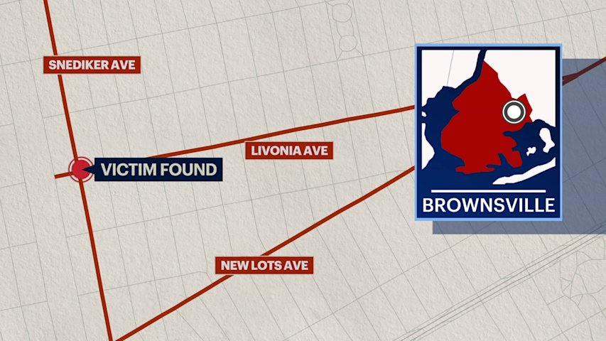Video thumbnail for Woman slashed, taken to hospital overnight in Brownsville