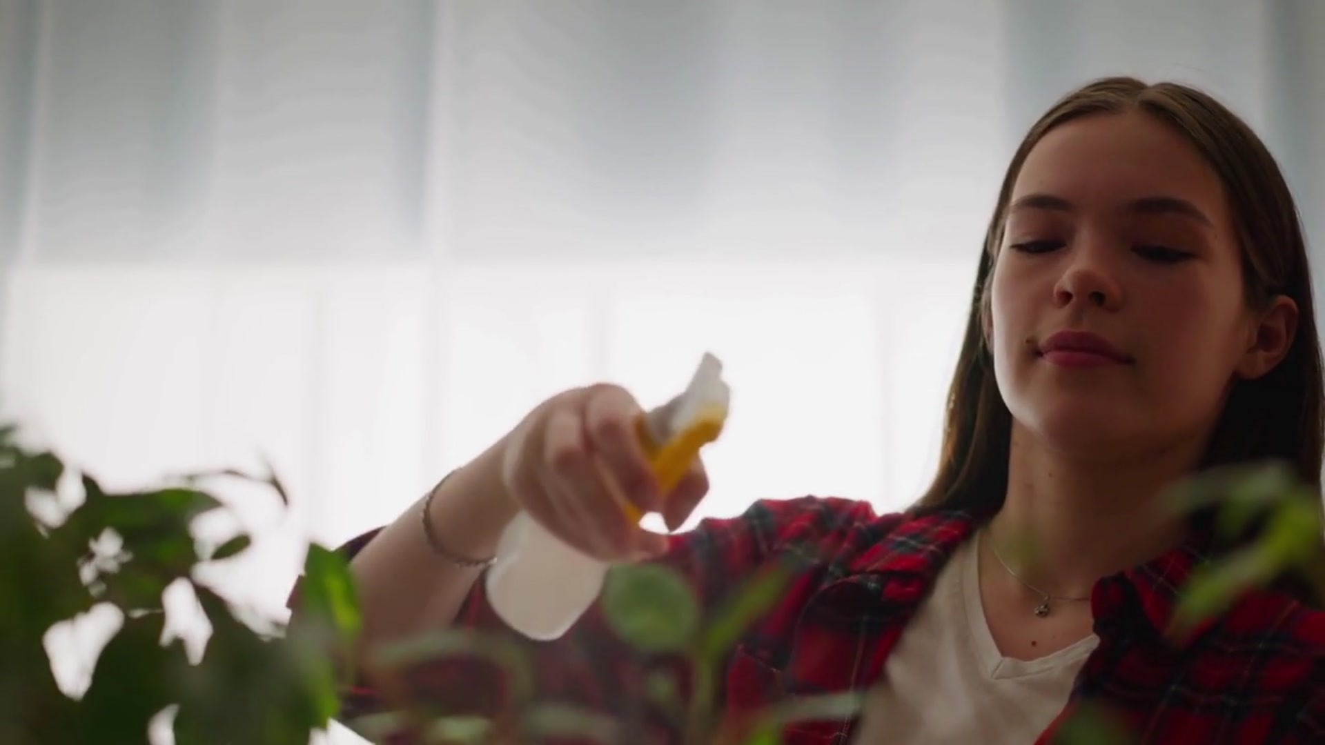 Video thumbnail for Philodendron_Birkin_indoor_plant_care