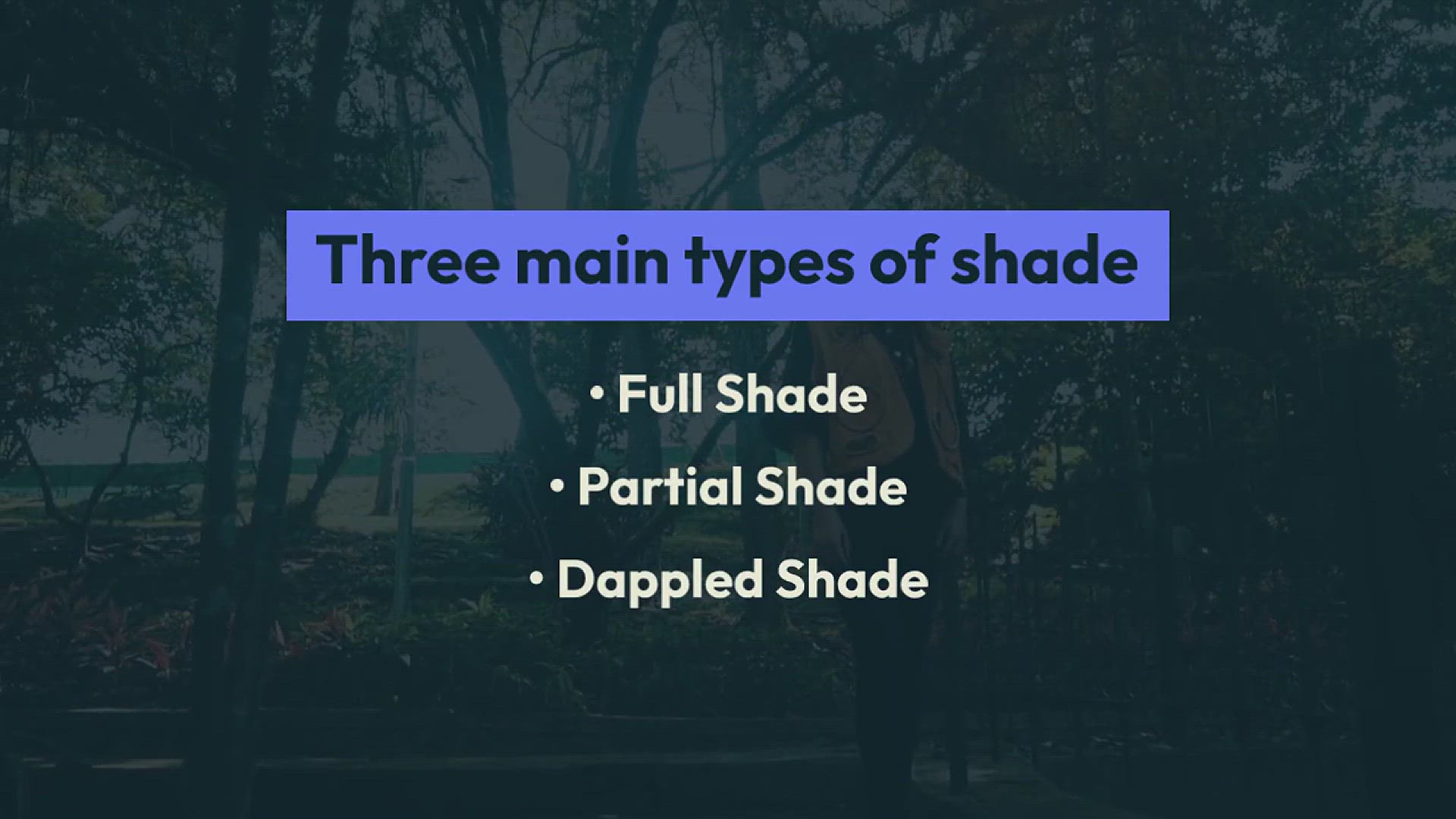 'Video thumbnail for Shade Gardening Ideas'