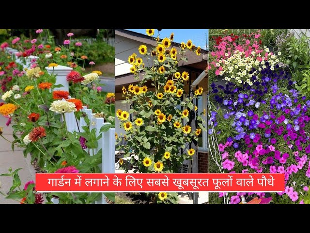 Video thumbnail for 30 Beautiful Multicolor Flowers in India