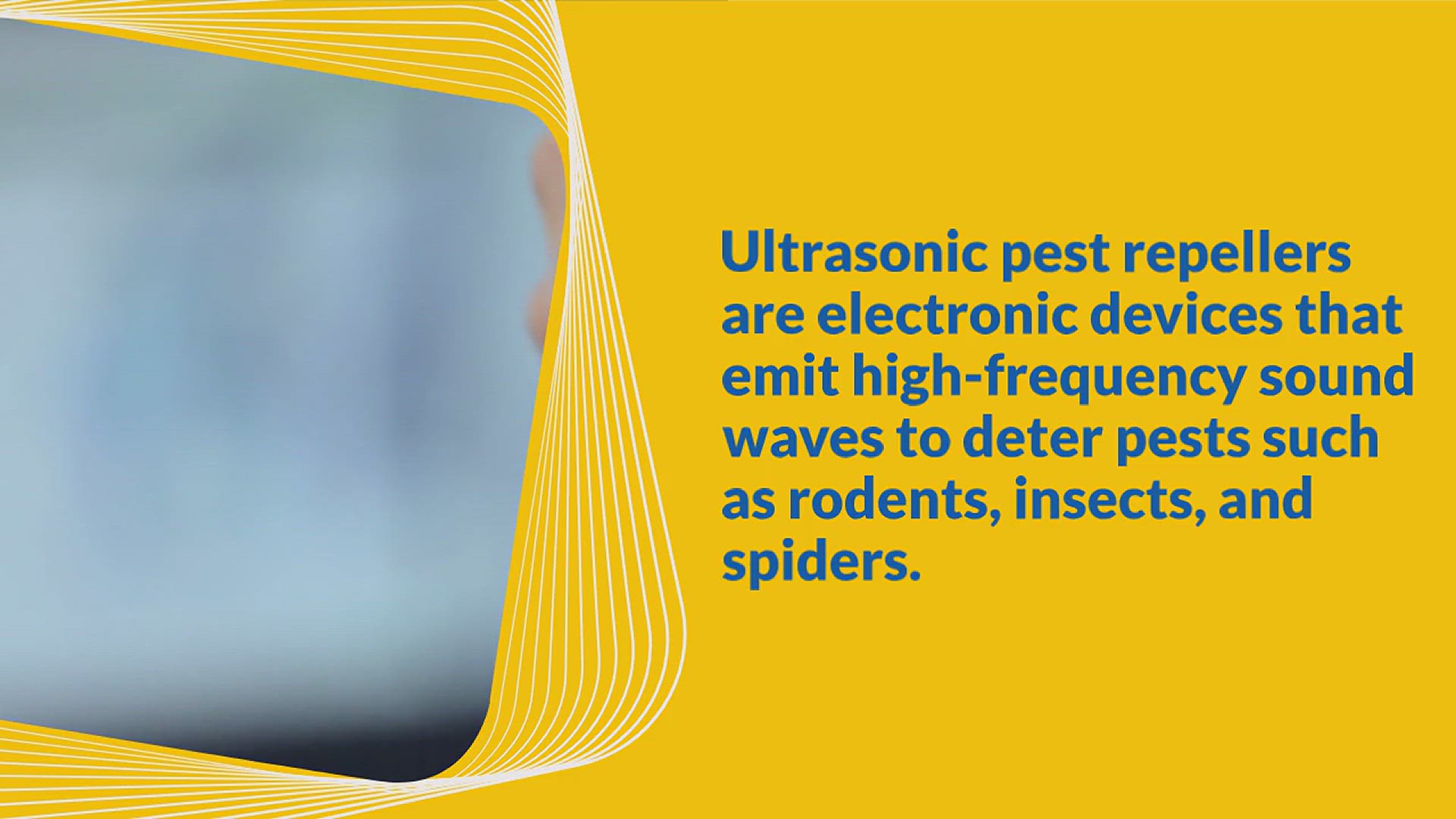 'Video thumbnail for How Ultrasonic Pest Repellents Work'