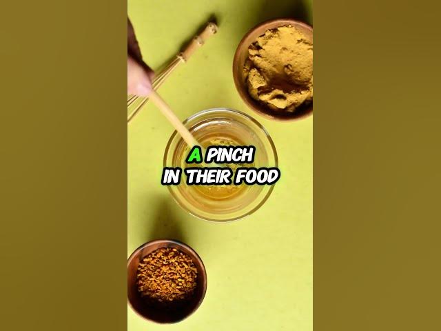 Video thumbnail for 5 Easy Home Remedies for Worms in Dogs