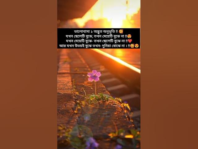 Video thumbnail for 😱दादी माँ ने मुझे क्यो मारा 💔😢#humanity #respect #helping #trending #viralvideo #youtubeshorts