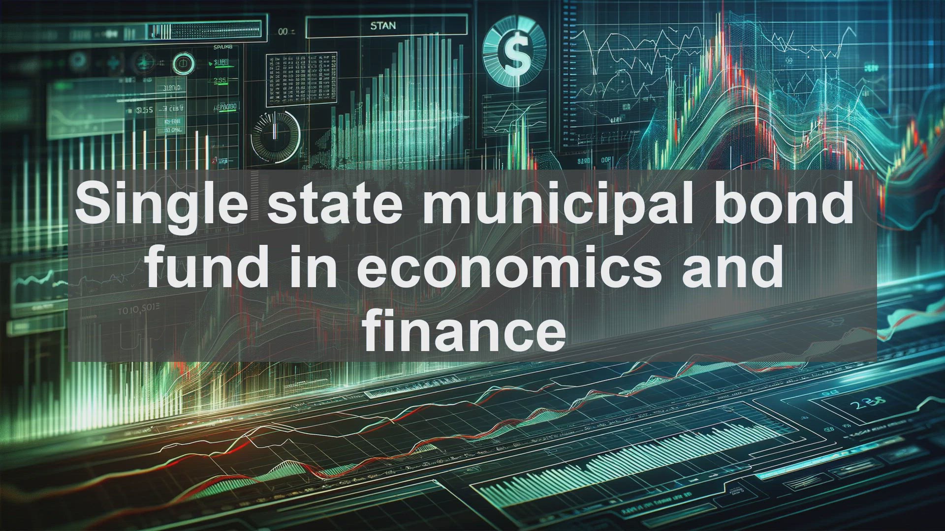 'Video thumbnail for Single state municipal bond fund in economics and finance'