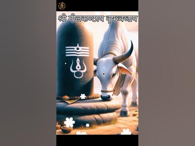 Video thumbnail for Shivay Gauri 🙏 | Shiv Panchakshar Stotra Part 3 | Mahadev Bhakti Status | @SurdharaBhakti