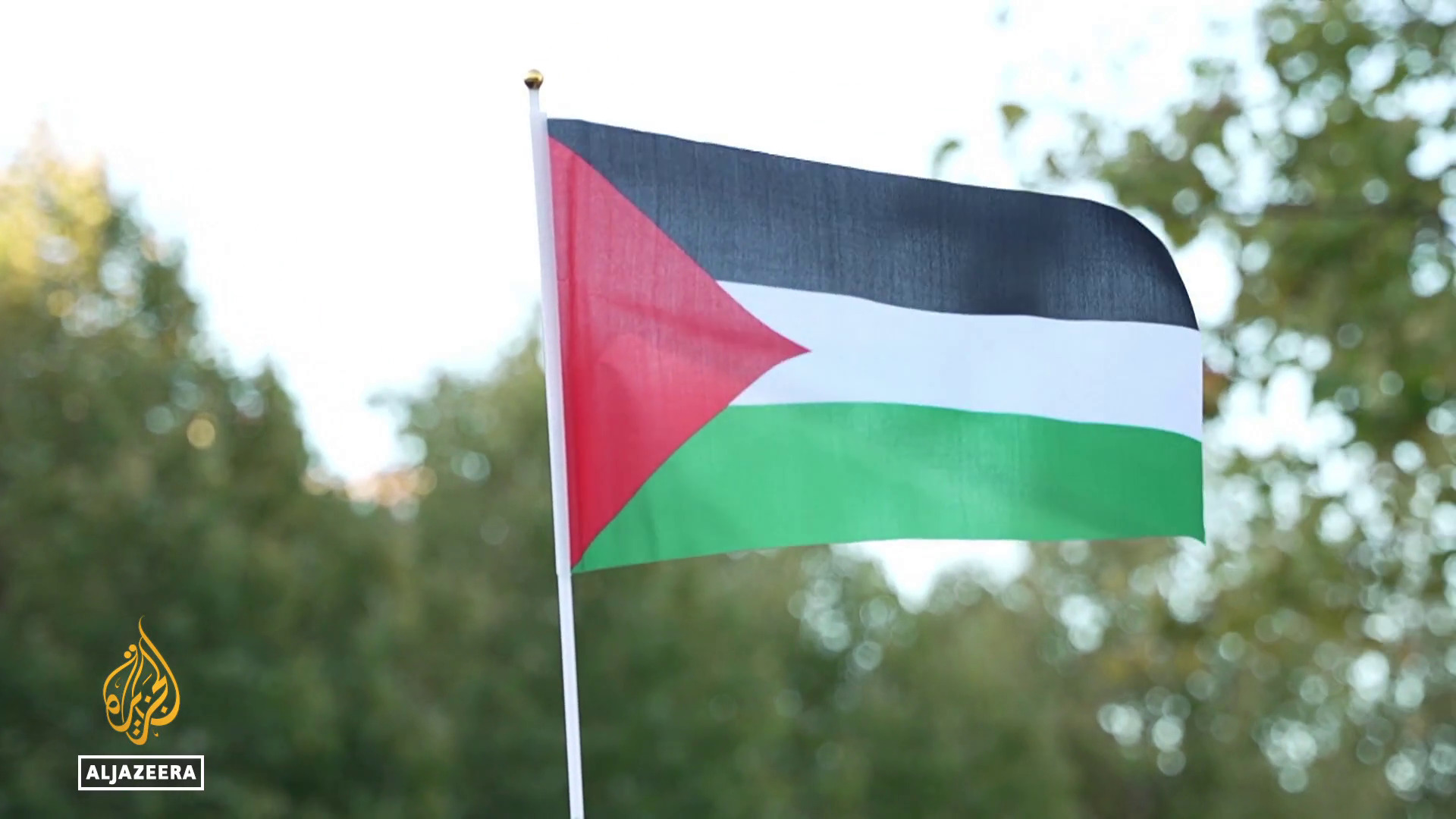 'Video thumbnail for Recognising Palestinian statehood: People in France divided on timing of macron's move'