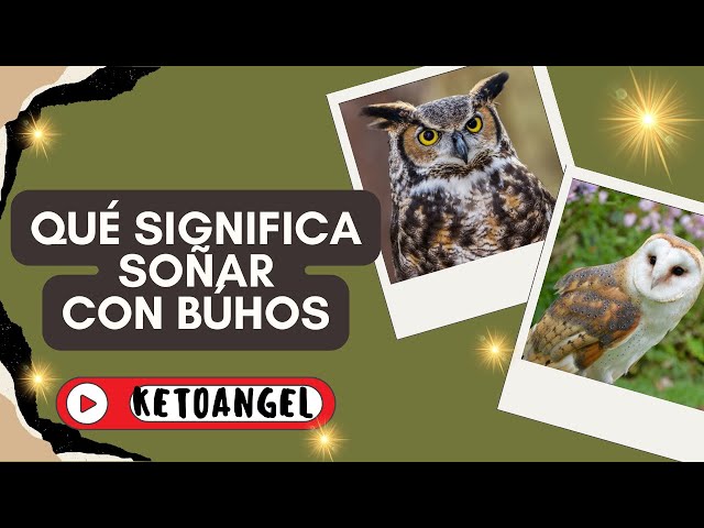 'Video thumbnail for ¿Qué significa soñar con búhos?'