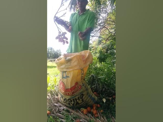 Video thumbnail for February 2, 2025