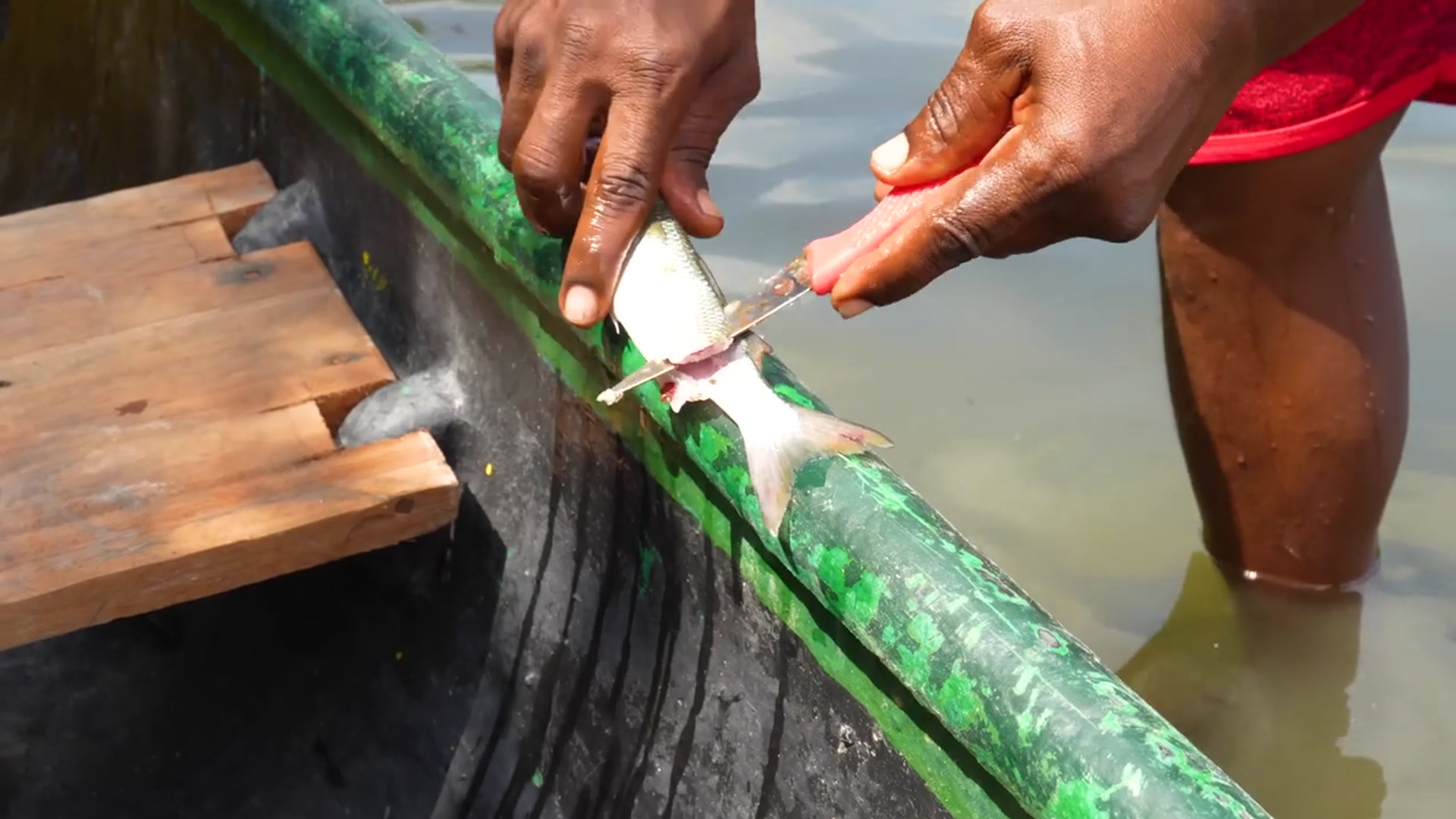 'Video thumbnail for CRAZY Colombian Seafood Catch & Cook!! CRAB HEAVEN + Caribbean Food in Colombia!!'