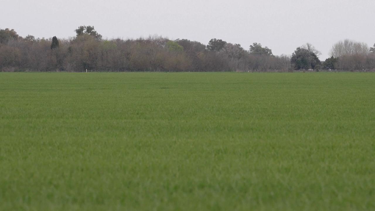 Video thumbnail for Argentina: El Nino threatens Argentina's farm belt as flood control projects stall.