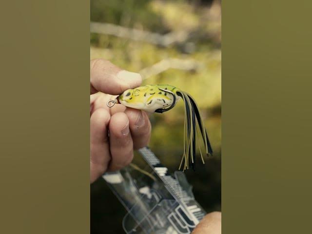 Video thumbnail for The @Lunkerhunt Rumbl Frog has been getting it done in this THICK stuff🥬