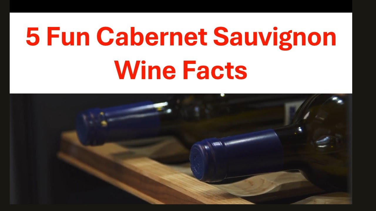 Video thumbnail for 5 Fun Cabernet Sauvignon Wine Facts