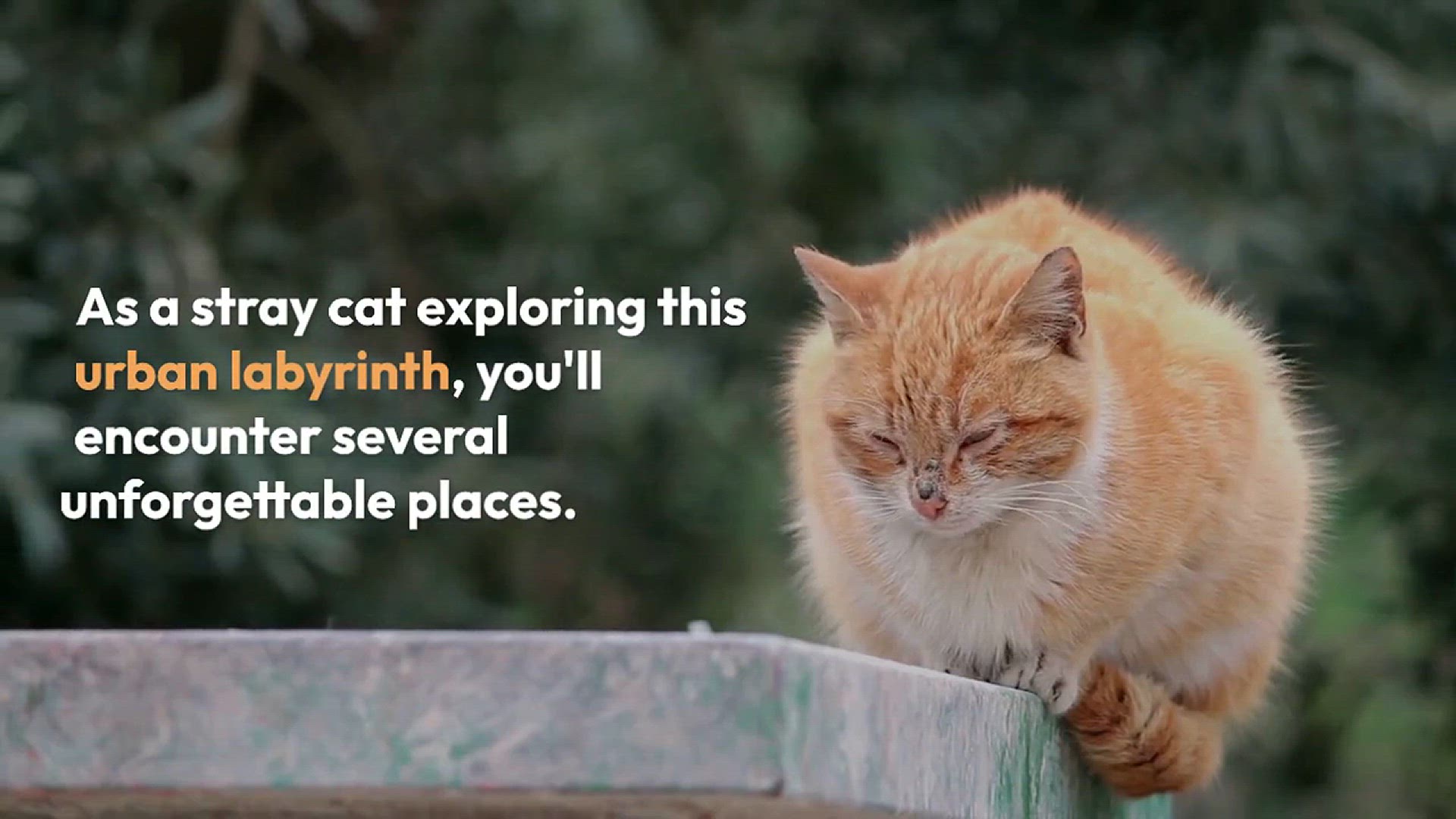 Video thumbnail for Best Locations In Stray Game