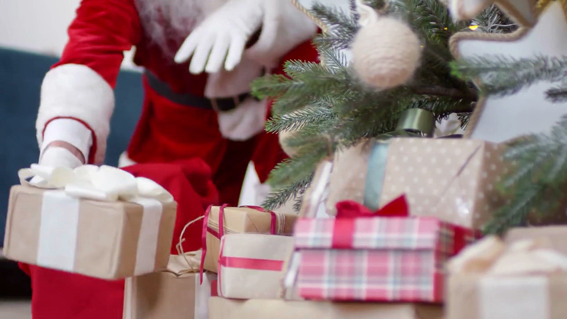 Video thumbnail for Santa's Reindeer Secrets Behind the Magical Journey!