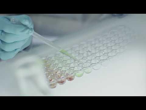 Video thumbnail for 3195394 uhd 3840 2160 25fps