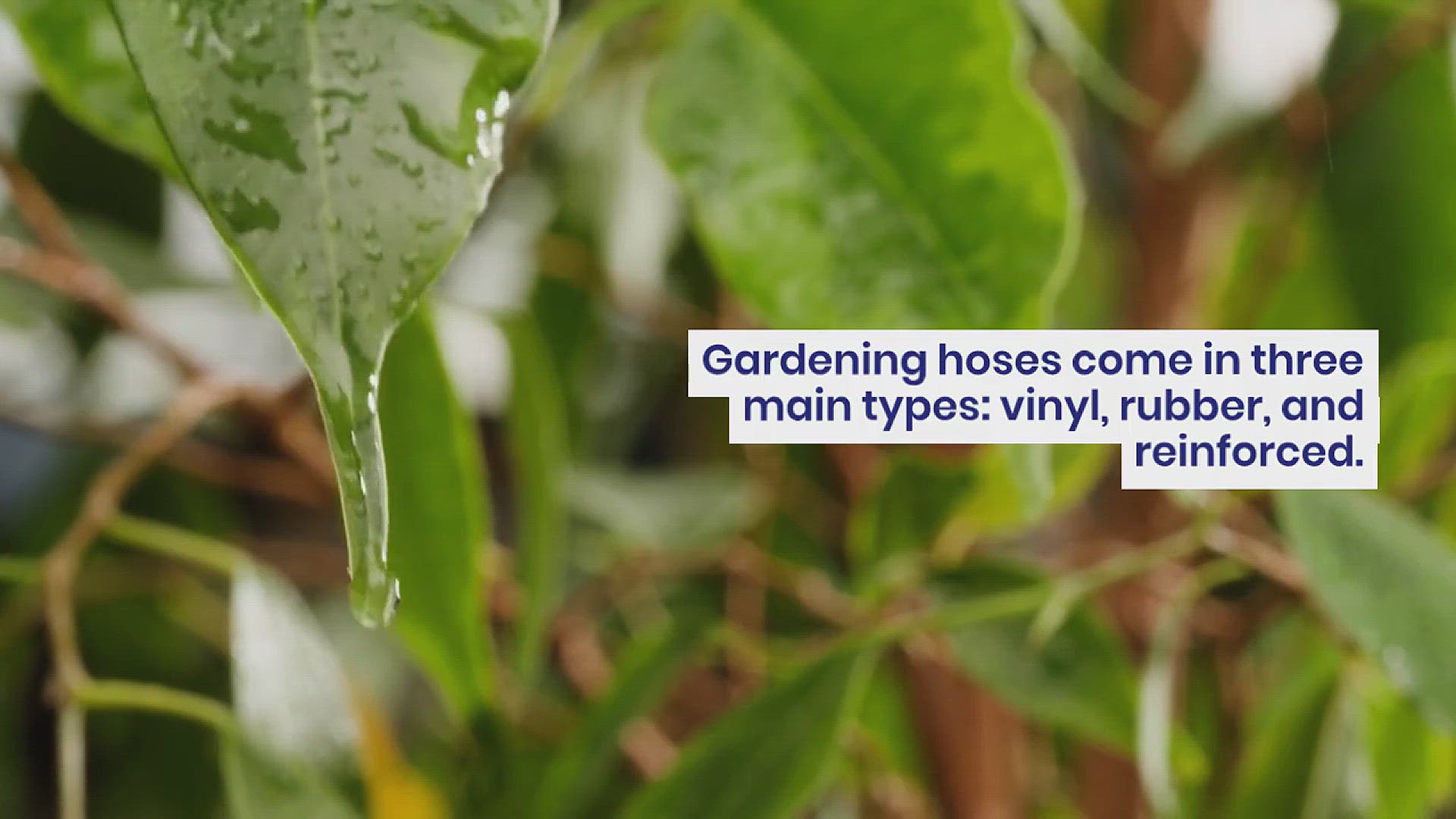 'Video thumbnail for How to Choose the Best Gardening Hose'