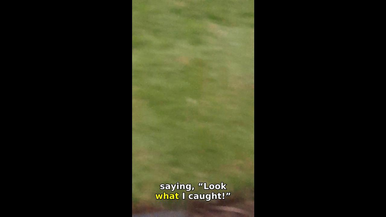 Video thumbnail for Cat Brings Home Bath Sponge in Doncaster