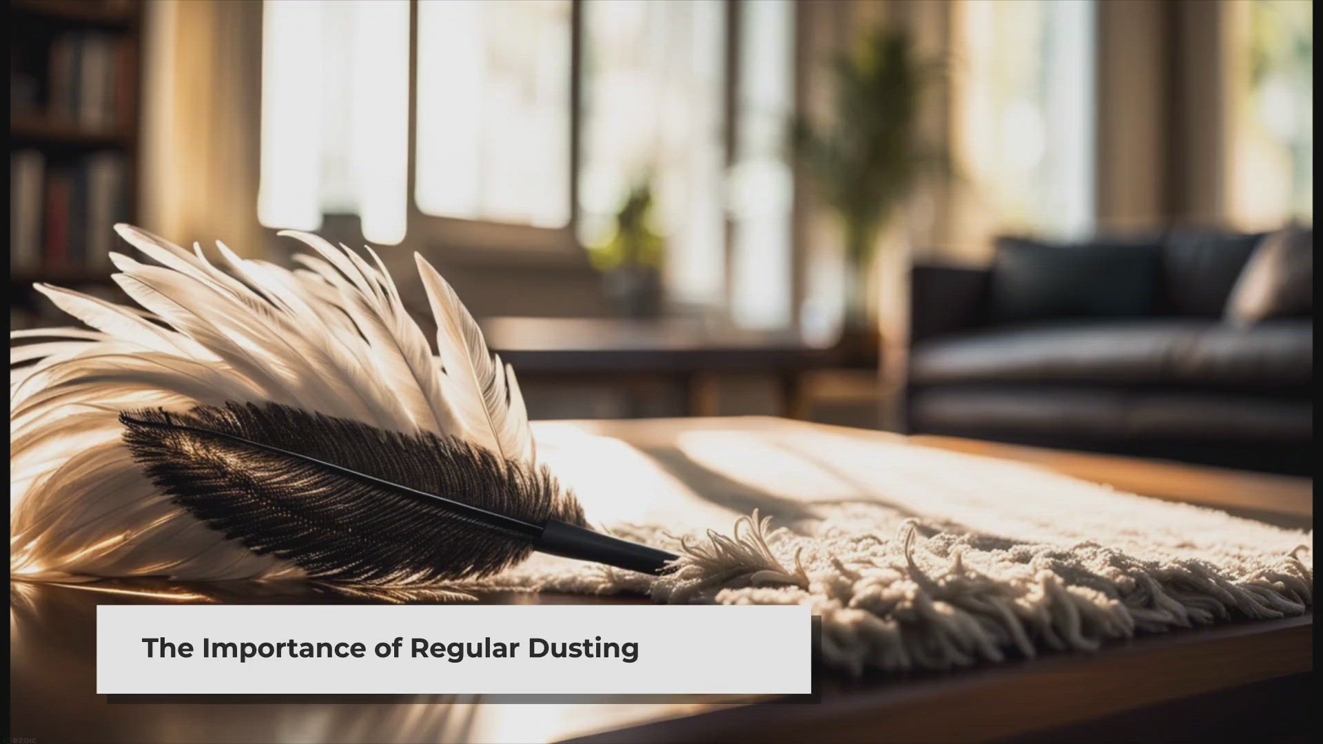'Video thumbnail for Dust Your Home: A Comprehensive Guide'