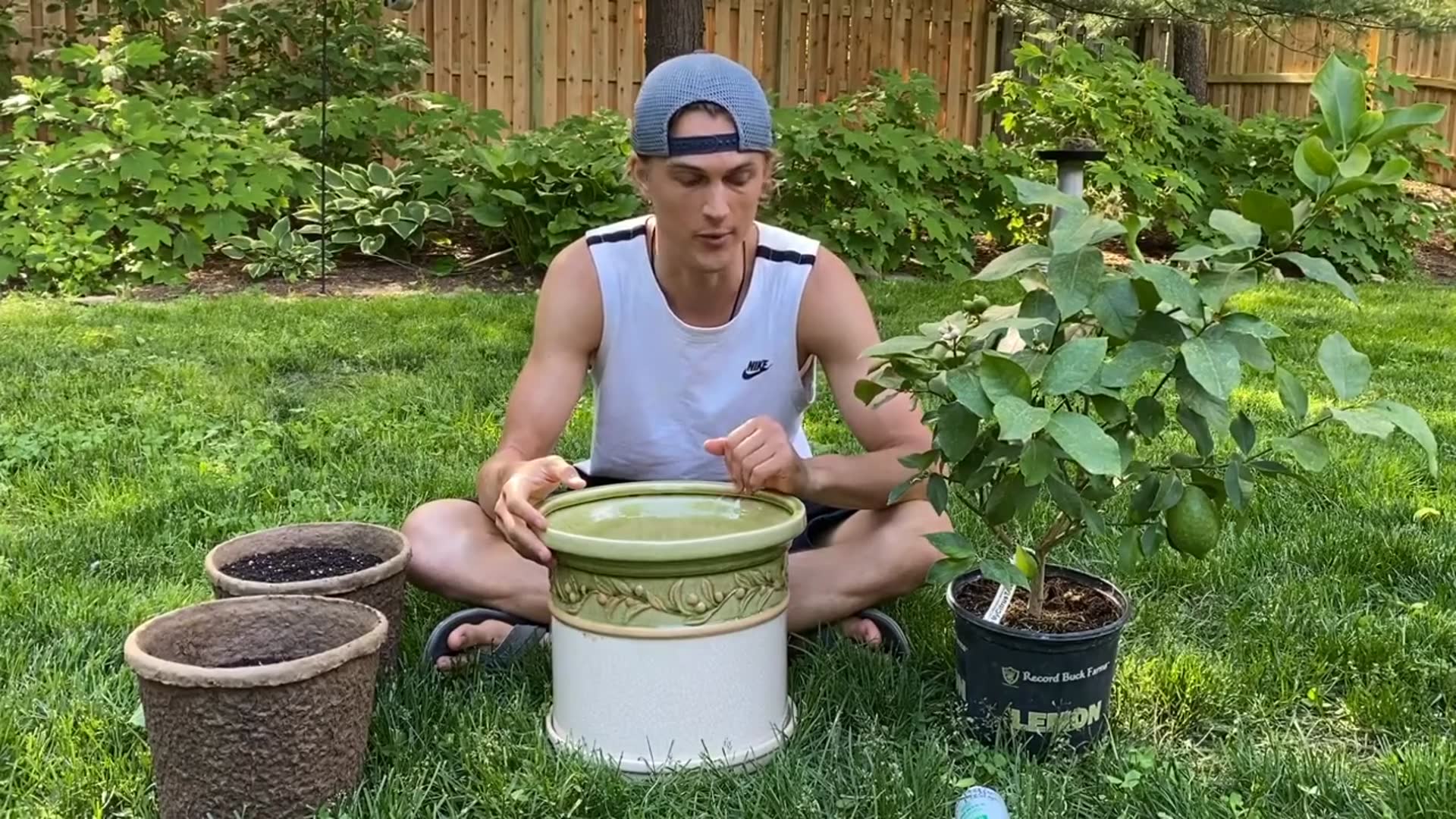 Video thumbnail for Growing Citrus in Containers! Everything You Need to Know for Success